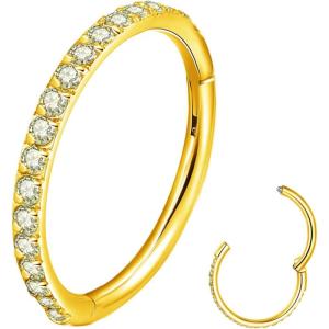 ORANGELOVE 20G 18G 16G Clear CZ Nose Ring Hoop 316L Surgical Steel Seamless Silver Septum Ring Clicker Jewelry Cartilage Earring Ear Piercing Hoop Earrings for Women Men Helix Rook Lobe Conch Tragus Daith Lip Hinged Piercing Jewelry with Cubic Zirconia(1pc/Clear CZ 18G 10mm Gold)