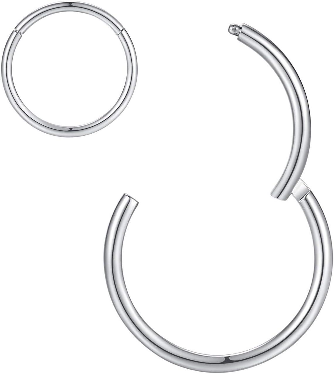 imageORANGELOVE Hypoallergenic Nose Rings 20G 18G 16G 14G 12G 10G 8G 316l Surgical Steel Septum Jewelry Hinged Segment Ring Body Piercing Nose Hoop Lip Rings Nose Helix Cartilage Rook EarringsSilver