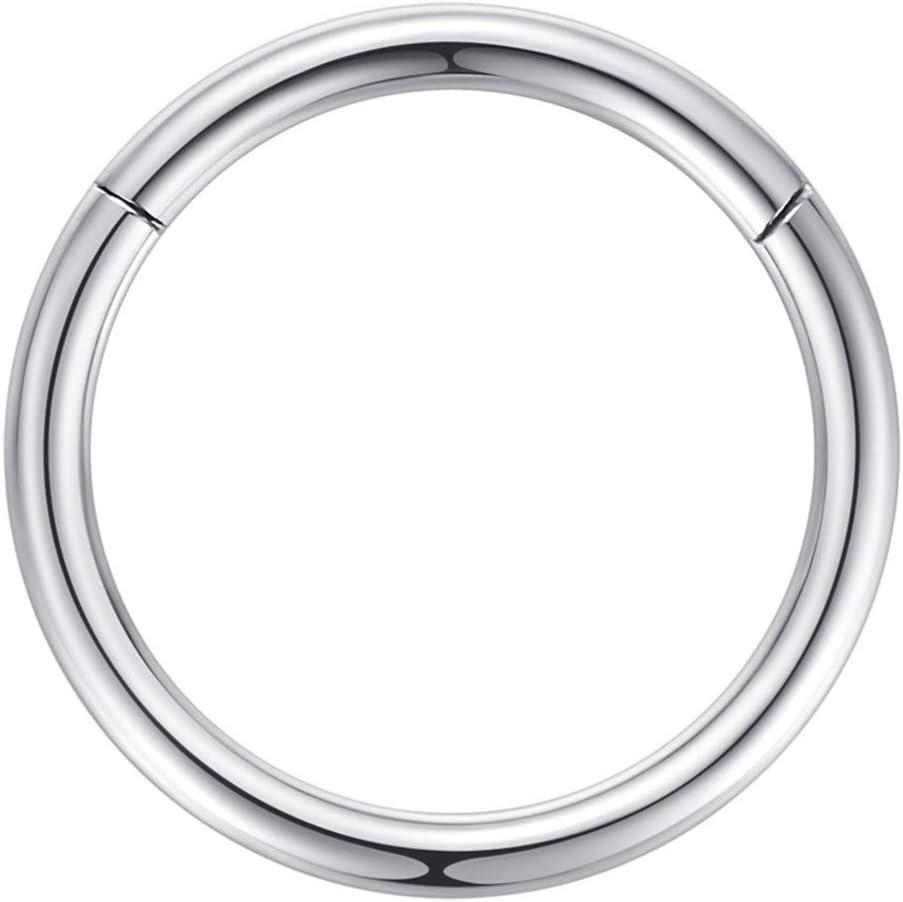 imageORANGELOVE Hypoallergenic Nose Rings 20G 18G 16G 14G 12G 10G 8G 316l Surgical Steel Septum Jewelry Hinged Segment Ring Body Piercing Nose Hoop Lip Rings Nose Helix Cartilage Rook EarringsSilver