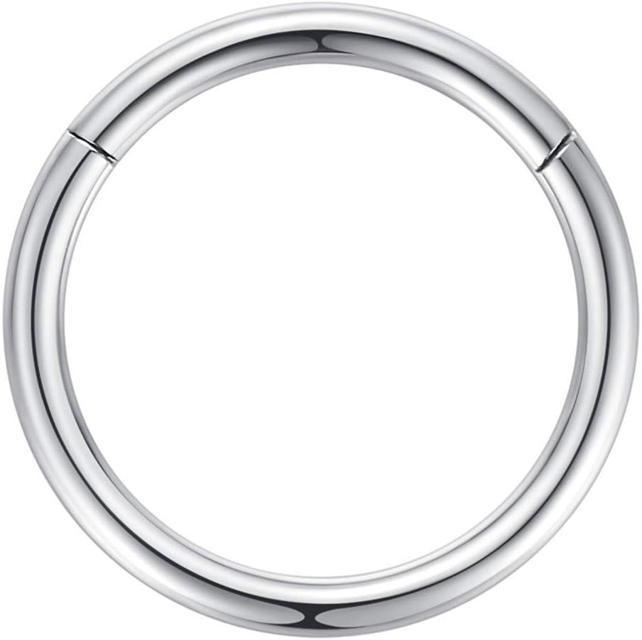 imageORANGELOVE Hypoallergenic Nose Rings 20G 18G 16G 14G 12G 10G 8G 316l Surgical Steel Septum Jewelry Hinged Segment Ring Body Piercing Nose Hoop Lip Rings Nose Helix Cartilage Rook EarringsSilver
