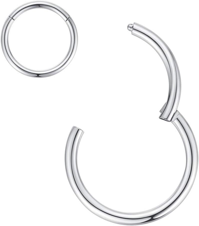 imageORANGELOVE Hypoallergenic Nose Rings 20G 18G 16G 14G 12G 10G 8G 316l Surgical Steel Septum Jewelry Hinged Segment Ring Body Piercing Nose Hoop Lip Rings Nose Helix Cartilage Rook EarringsSilver