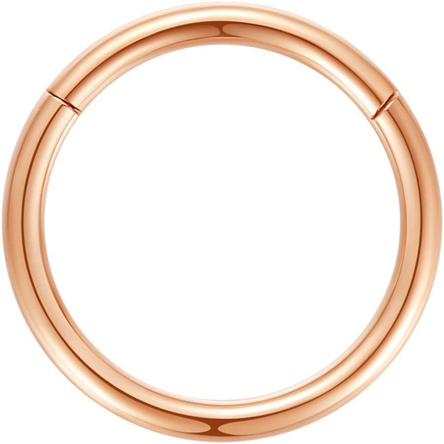 imageORANGELOVE Hypoallergenic Nose Rings 20G 18G 16G 14G 12G 10G 8G 316l Surgical Steel Septum Jewelry Hinged Segment Ring Body Piercing Nose Hoop Lip Rings Nose Helix Cartilage Rook EarringsRose Gold