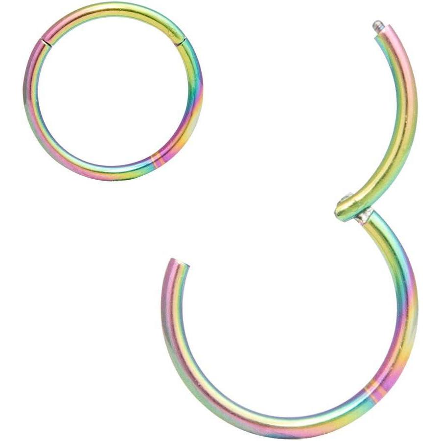 imageORANGELOVE Hypoallergenic Nose Rings 20G 18G 16G 14G 12G 10G 8G 316l Surgical Steel Septum Jewelry Hinged Segment Ring Body Piercing Nose Hoop Lip Rings Nose Helix Cartilage Rook EarringsRainbow