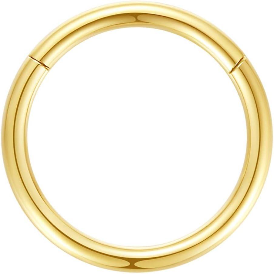 imageORANGELOVE Hypoallergenic Nose Rings 20G 18G 16G 14G 12G 10G 8G 316l Surgical Steel Septum Jewelry Hinged Segment Ring Body Piercing Nose Hoop Lip Rings Nose Helix Cartilage Rook EarringsGold