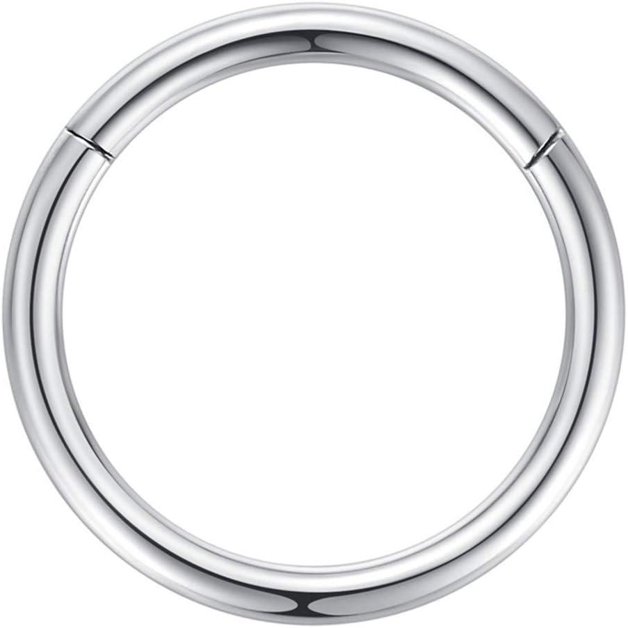 imageORANGELOVE Hypoallergenic Nose Rings 20G 18G 16G 14G 12G 10G 8G 316l Surgical Steel Septum Jewelry Hinged Segment Ring Body Piercing Nose Hoop Lip Rings Nose Helix Cartilage Rook EarringsSilver