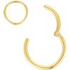 ORANGELOVE Hypoallergenic Nose Rings 20G 18G 16G 14G 12G 10G 8G 316l Surgical Steel Septum Jewelry Hinged Segment Ring Body Piercing Nose Hoop Lip Rings Nose Helix Cartilage Rook Earrings(Gold)