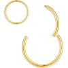 ORANGELOVE Hypoallergenic Nose Rings 20G 18G 16G 14G 12G 10G 8G 316l Surgical Steel Septum Jewelry Hinged Segment Ring Body Piercing Nose Hoop Lip Rings Nose Helix Cartilage Rook Earrings(Gold)