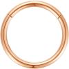 ORANGELOVE Hypoallergenic Nose Rings 20G 18G 16G 14G 12G 10G 8G 316l Surgical Steel Septum Jewelry Hinged Segment Ring Body Piercing Nose Hoop Lip Rings Nose Helix Cartilage Rook Earrings(Rose Gold)
