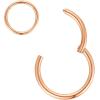ORANGELOVE Hypoallergenic Nose Rings 20G 18G 16G 14G 12G 10G 8G 316l Surgical Steel Septum Jewelry Hinged Segment Ring Body Piercing Nose Hoop Lip Rings Nose Helix Cartilage Rook Earrings(Rose Gold)
