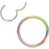 ORANGELOVE Hypoallergenic Nose Rings 20G 18G 16G 14G 12G 10G 8G 316l Surgical Steel Septum Jewelry Hinged Segment Ring Body Piercing Nose Hoop Lip Rings Nose Helix Cartilage Rook Earrings(Rainbow)