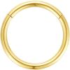 ORANGELOVE Hypoallergenic Nose Rings 20G 18G 16G 14G 12G 10G 8G 316l Surgical Steel Septum Jewelry Hinged Segment Ring Body Piercing Nose Hoop Lip Rings Nose Helix Cartilage Rook Earrings(Gold)