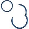 ORANGELOVE Hypoallergenic Nose Rings 20G 18G 16G 14G 12G 10G 8G 316l Surgical Steel Septum Jewelry Hinged Segment Ring Body Piercing Nose Hoop Lip Rings Nose Helix Cartilage Rook Earrings(Blue)