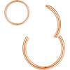 ORANGELOVE Hypoallergenic Nose Rings 20G 18G 16G 14G 12G 10G 8G 316l Surgical Steel Septum Jewelry Hinged Segment Ring Body Piercing Nose Hoop Lip Rings Nose Helix Cartilage Rook Earrings(Rose Gold)