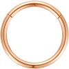 ORANGELOVE Hypoallergenic Nose Rings 20G 18G 16G 14G 12G 10G 8G 316l Surgical Steel Septum Jewelry Hinged Segment Ring Body Piercing Nose Hoop Lip Rings Nose Helix Cartilage Rook Earrings(Rose Gold)