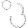 ORANGELOVE Hypoallergenic Nose Rings 20G 18G 16G 14G 12G 10G 8G 316l Surgical Steel Septum Jewelry Hinged Segment Ring Body Piercing Nose Hoop Lip Rings Nose Helix Cartilage Rook Earrings(Rainbow)