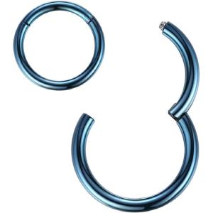 ORANGELOVE Hypoallergenic Nose Rings 20G 18G 16G 14G 12G 10G 8G 316l Surgical Steel Septum Jewelry Hinged Segment Ring Body Piercing Nose Hoop Lip Rings Nose Helix Cartilage Rook Earrings(Blue)