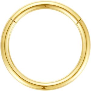 ORANGELOVE Hypoallergenic Nose Rings 20G 18G 16G 14G 12G 10G 8G 316l Surgical Steel Septum Jewelry Hinged Segment Ring Body Piercing Nose Hoop Lip Rings Nose Helix Cartilage Rook Earrings(Gold)