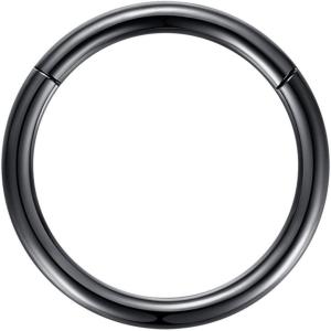 ORANGELOVE Hypoallergenic Nose Rings 20G 18G 16G 14G 12G 10G 8G 316l Surgical Steel Septum Jewelry Hinged Segment Ring Body Piercing Nose Hoop Lip Rings Nose Helix Cartilage Rook Earrings(Black)