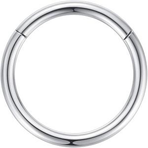 ORANGELOVE Hypoallergenic Nose Rings 20G 18G 16G 14G 12G 10G 8G 316l Surgical Steel Septum Jewelry Hinged Segment Ring Body Piercing Nose Hoop Lip Rings Nose Helix Cartilage Rook Earrings(Silver)