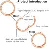 ORANGELOVE 20G 18G 16G Clear CZ Nose Ring Hoop 316L Surgical Steel Seamless Silver Septum Ring Clicker Jewelry Cartilage Earring Ear Piercing Hoop Earrings for Women Men Helix Rook Lobe Conch Tragus Daith Lip Hinged Piercing Jewelry with Cubic Zirconia(2pcs/Clear CZ 20G 8mm Rose Gold)
